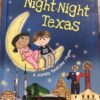 Night Night Texas - Book