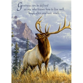 Mountain Elk - Birthday Card