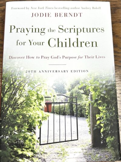 Pray for My Children - Book