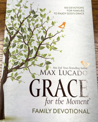 Grace for the Moment - Book