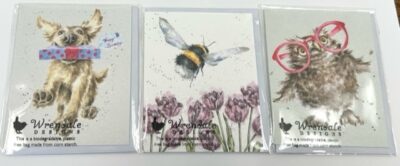 Spectacular Owl - Enclosure Card