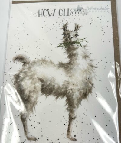 How Old Llama - Birthday Card