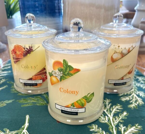 Seville Orange Candle