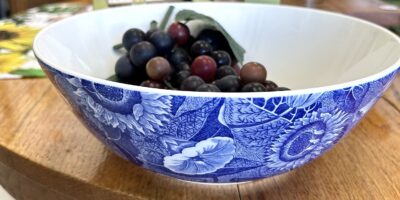 Sunflower - Salad Bowl