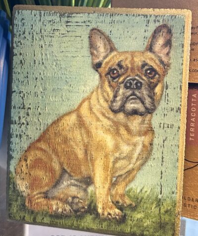 Frenchie - Wood Print