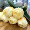 13" Light Yellow - Real Touch - Tulip Bunch of 6