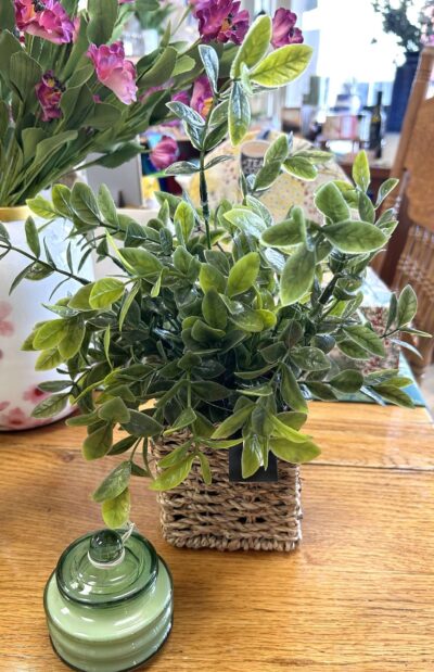 12" Herbs in Basket
