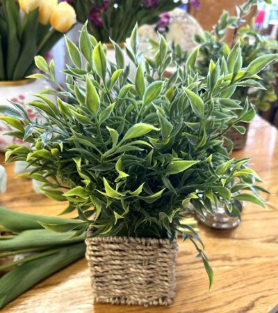 12" Herbs in Basket