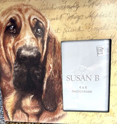 Dog Frame - Assorted Choice