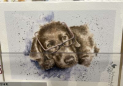 Chocolate Lab Glasses Blank Card