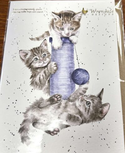 Threes A Crowd Cat Blank Card