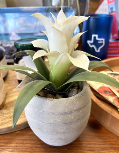 Faux Potted Bromelaid - Plant