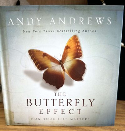 The Butterfly Effect