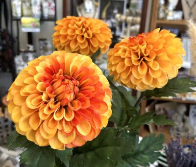 Orange Mum