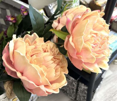 Pink Peonies - Floral