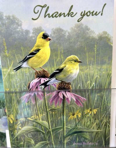 Gold Finch - Thank You Card