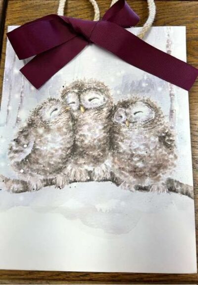 Three Wise Men - Owls - Gift Bag
