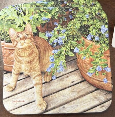 "Rufus" Cat - Coaster