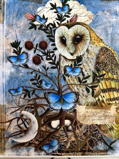 Carry Something Beautiful - Owl - Canvas Print