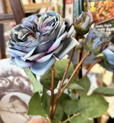Blue Rose Stem