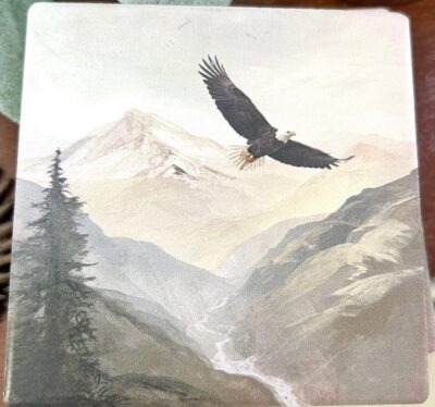 Eagle Coaster