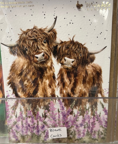 Gentle Giants - Highlander Cows - Blank Card