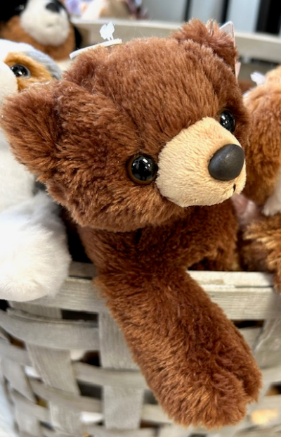 Barnsworth Bear