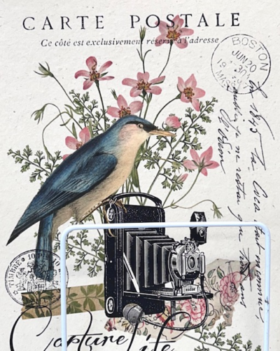 Capture Life - Art Print - Bird & Camera